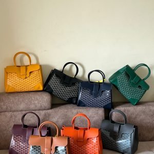 GOYARD Bag