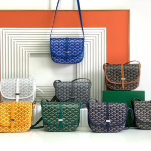 GOYARD Bag