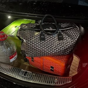 GOYARD Bag