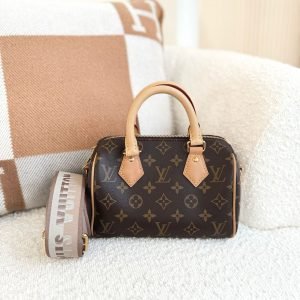 LV Bag