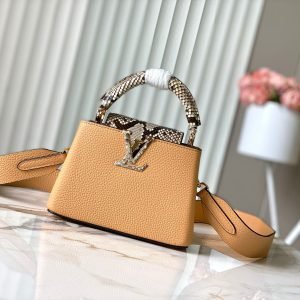 LV Bag