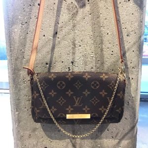LV Bag