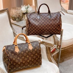 LV Bag