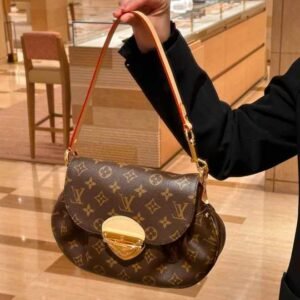 LV BAG
