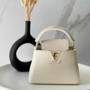 LV BAG