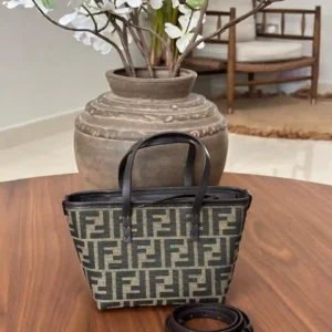FENDI BAG