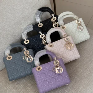 DIOR BAG