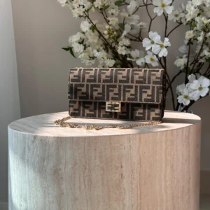 FENDI BAG