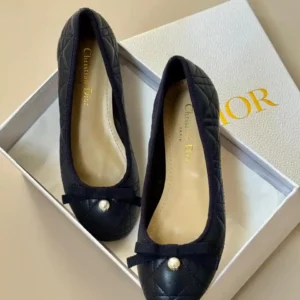 DIOR SHOES