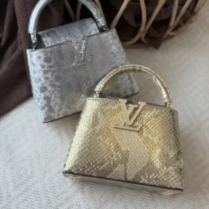 LV BAG
