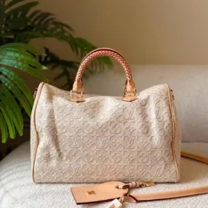 LV BAG