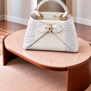 DIOR BAG